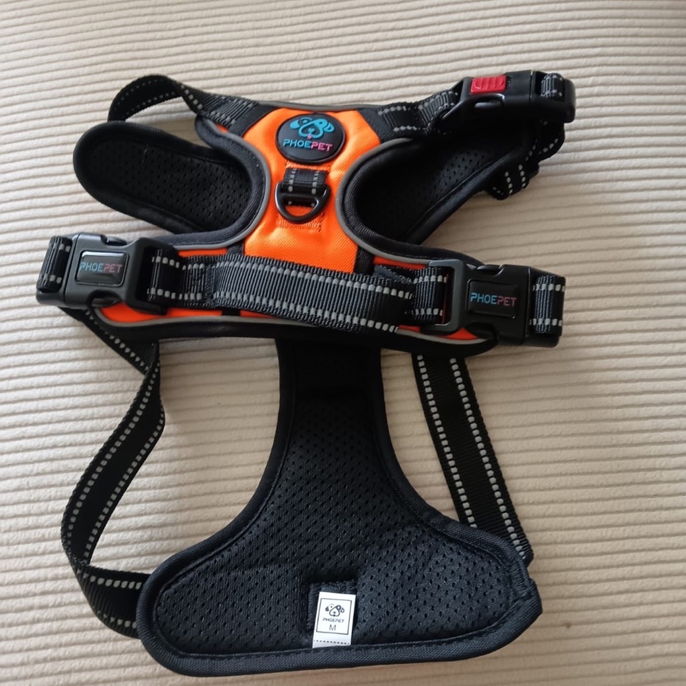Orange and Black Cat Harness
